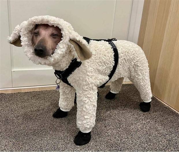 Klyker Picdump #1376 (51 photos)