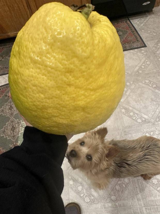 Klyker Picdump #1376 (51 photos)