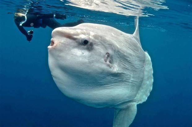 Klyker Picdump #1376 (51 photos)