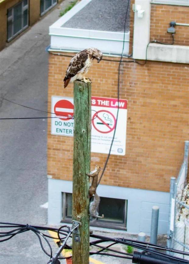 Klyker Picdump #1376 (51 photos)