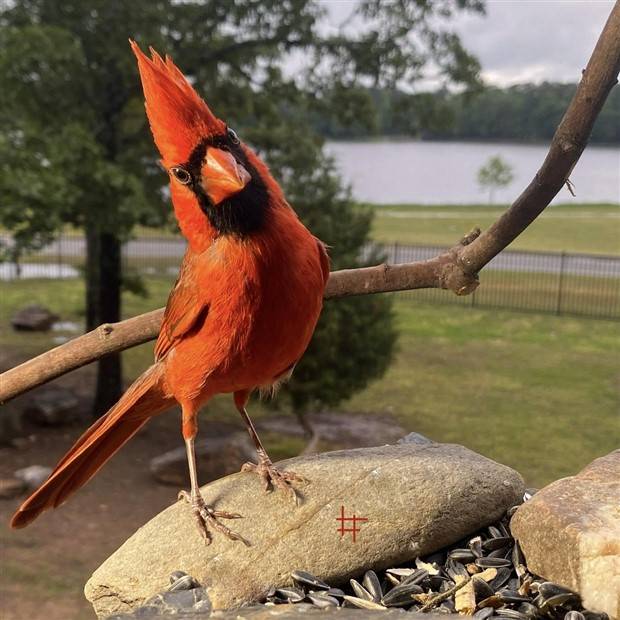 Klyker Picdump #1376 (51 photos)