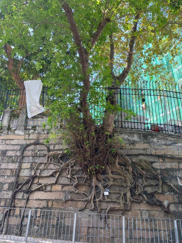 Klyker Picdump #1376 (51 photos)