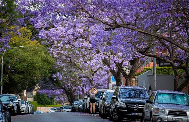 Klyker Picdump #1376 (51 photos)