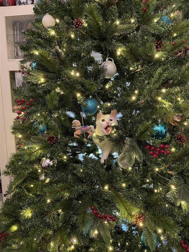 Klyker Picdump #1367 (52 photos)