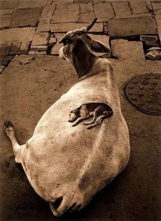 Klyker Picdump #1367 (52 photos)