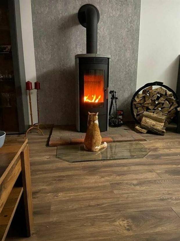 Klyker Picdump #1367 (52 photos)