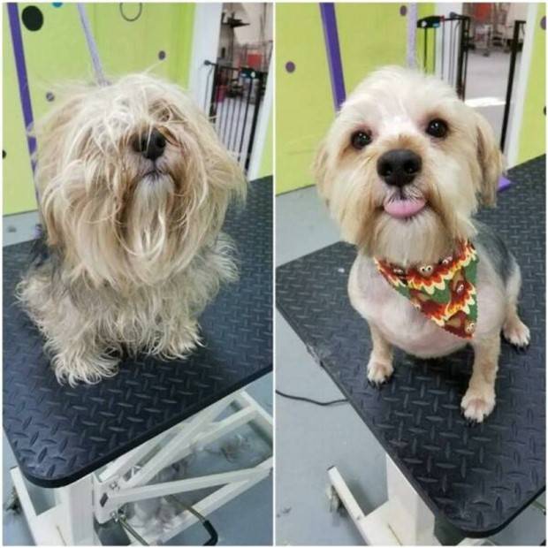 Klyker Picdump #1381 (51 photos)