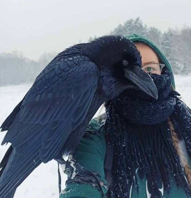 Klyker Picdump #1381 (51 photos)