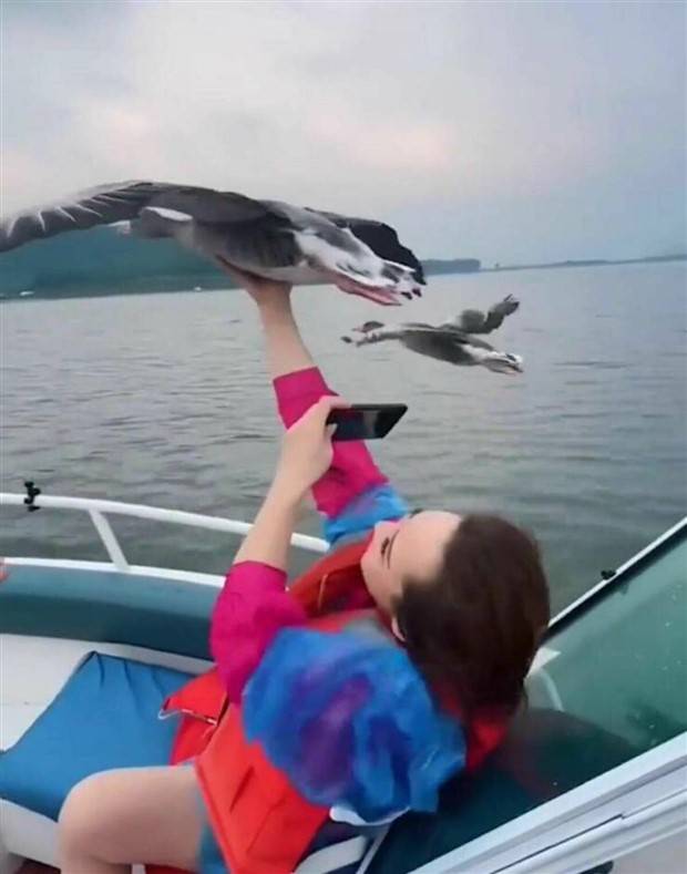 Klyker Picdump #1381 (51 photos)