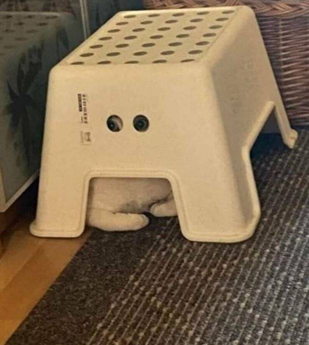 Klyker Picdump #1382 (52 photos)