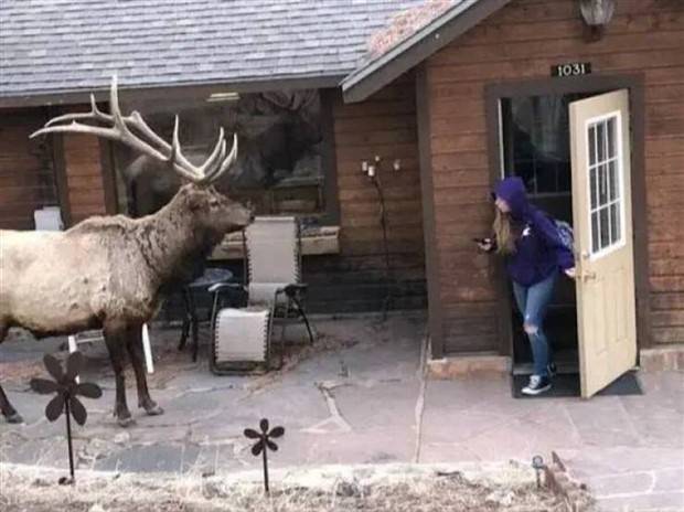 Klyker Picdump #1382 (52 photos)