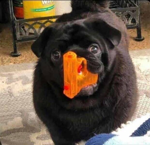 Klyker Picdump #1382 (52 photos)