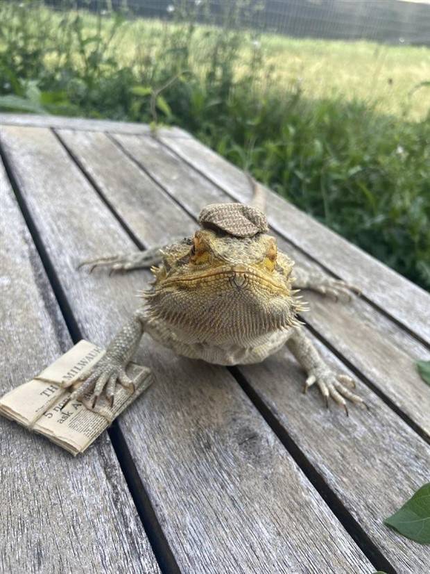 Klyker Picdump #1382 (52 photos)