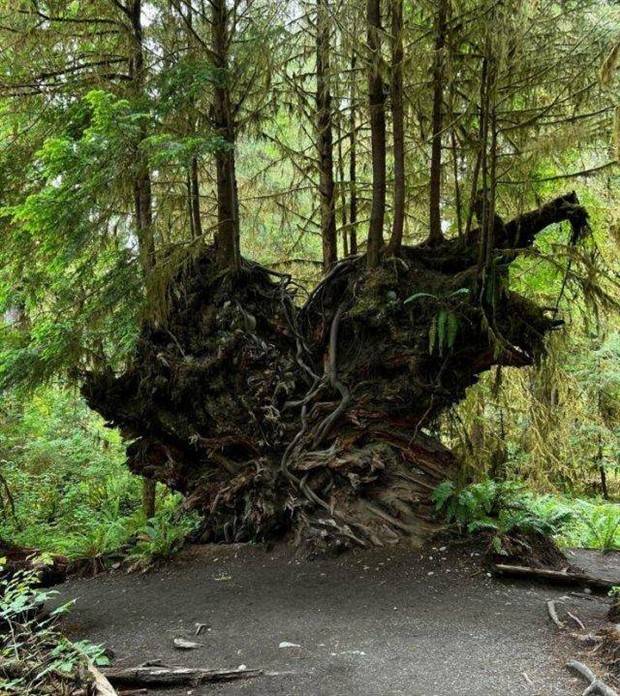 Klyker Picdump #1382 (52 photos)