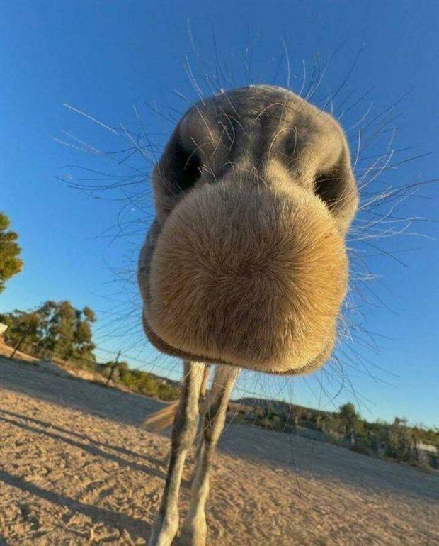 Klyker Picdump #1382 (52 photos)