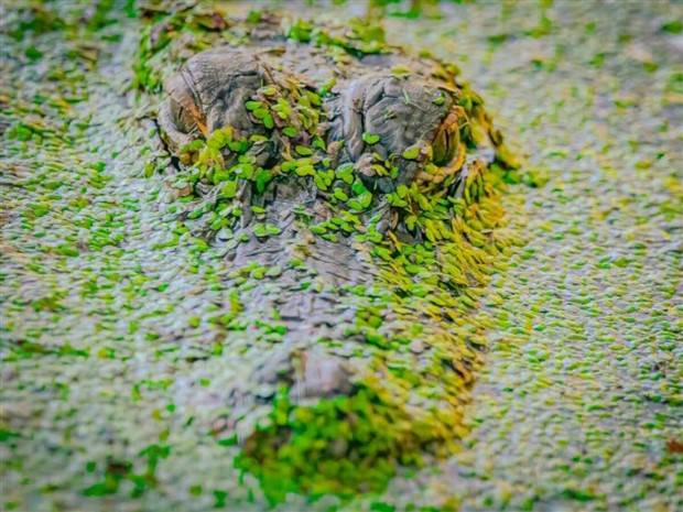 Klyker Picdump #1384 (54 photos)