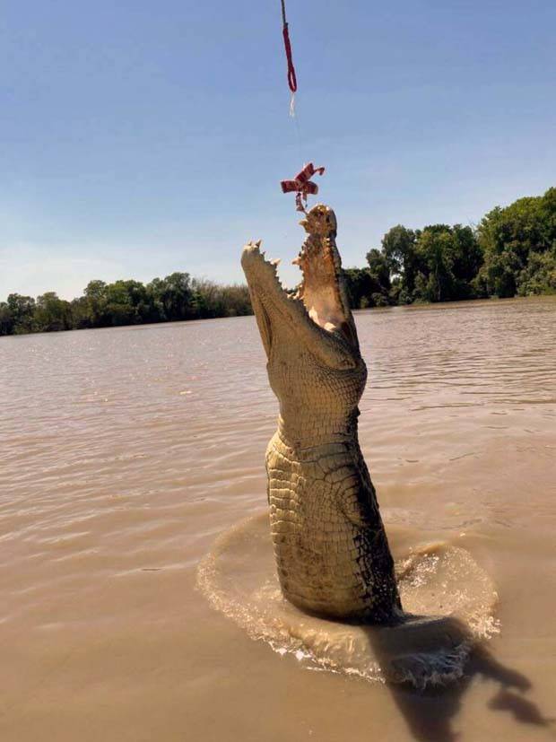 Klyker Picdump #1384 (54 photos)