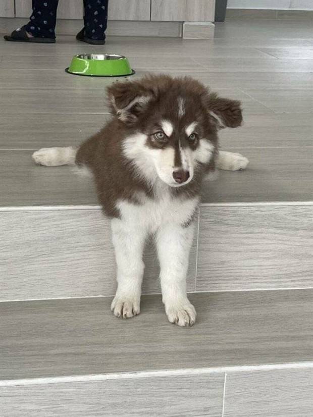 Klyker Picdump #1384 (54 photos)