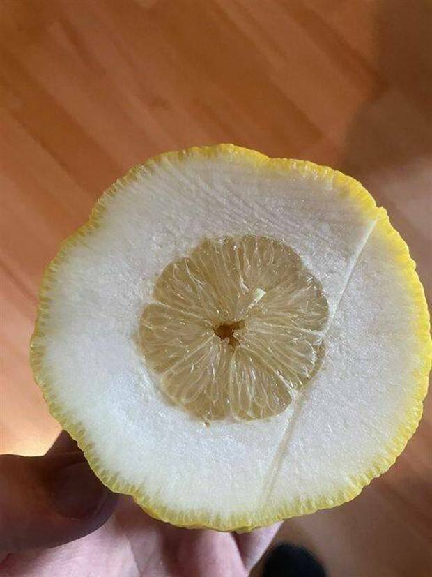 Klyker Picdump #1384 (54 photos)