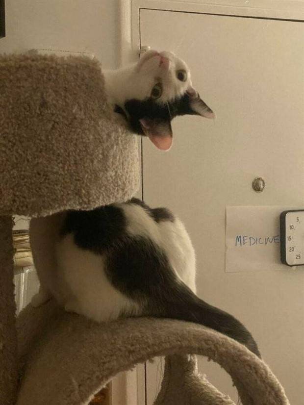 Klyker Picdump #1384 (54 photos)