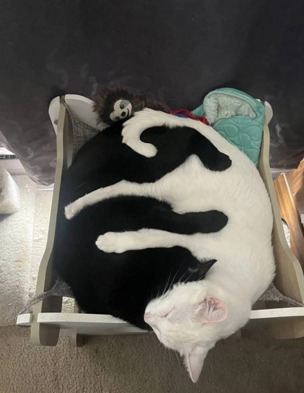 Klyker Picdump #1368 (53 photos)