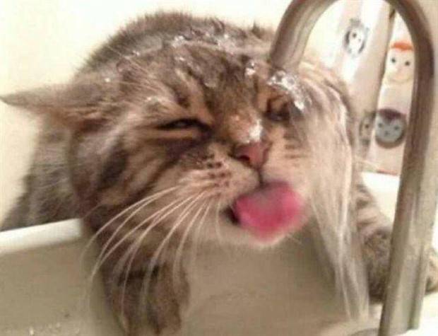 Klyker Picdump #1368 (53 photos)