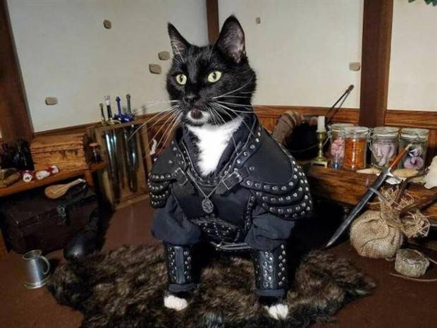 Klyker Picdump #1368 (53 photos)