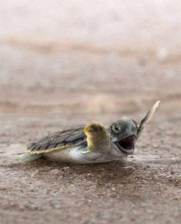 Klyker Picdump #1388 (53 photos)