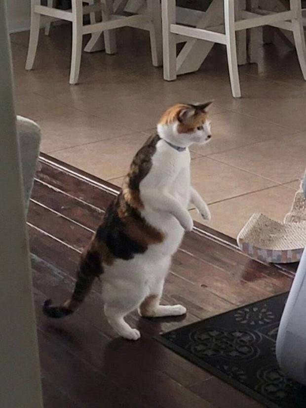 Klyker Picdump #1388 (53 photos)