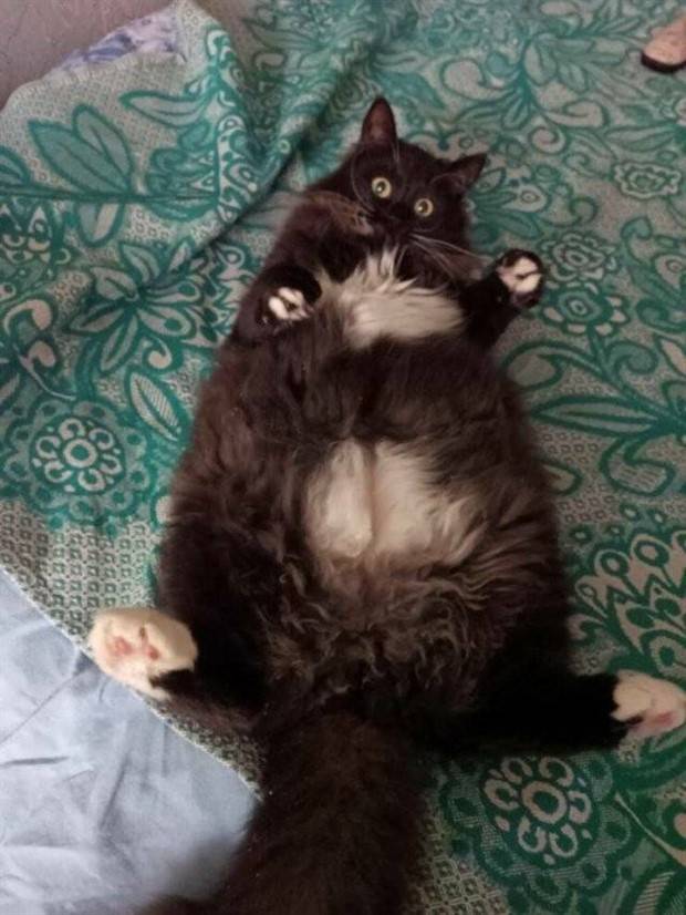 Klyker Picdump #1388 (53 photos)