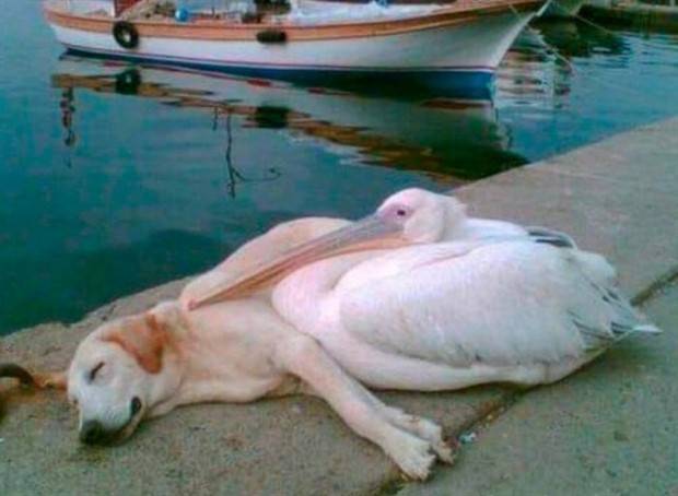 Klyker Picdump #1369 (54 photos)