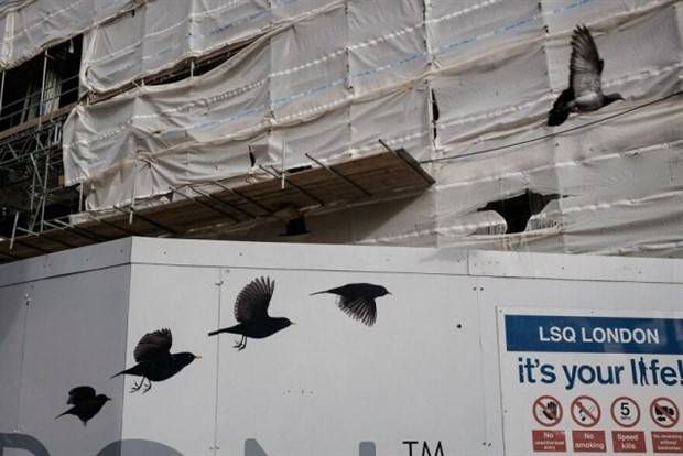 Klyker Picdump #1369 (54 photos)