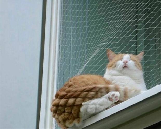 Klyker Picdump #1369 (54 photos)