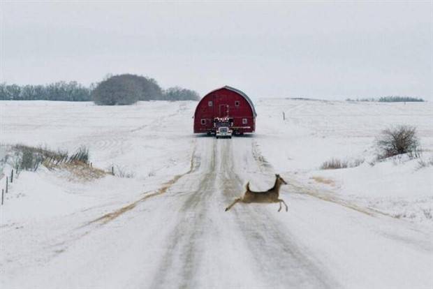 Klyker Picdump #1369 (54 photos)