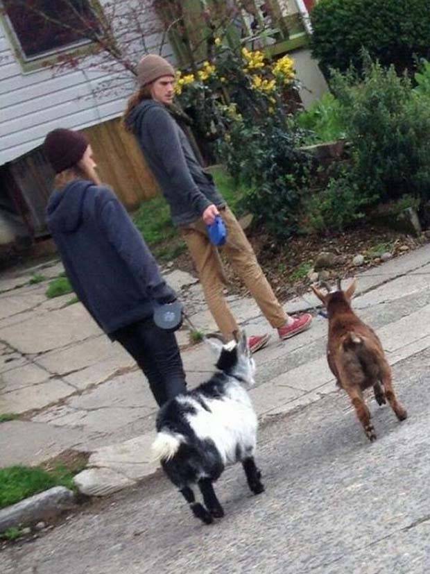 Klyker Picdump #1369 (54 photos)