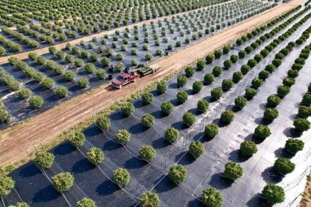 Klyker Picdump #1369 (54 photos)