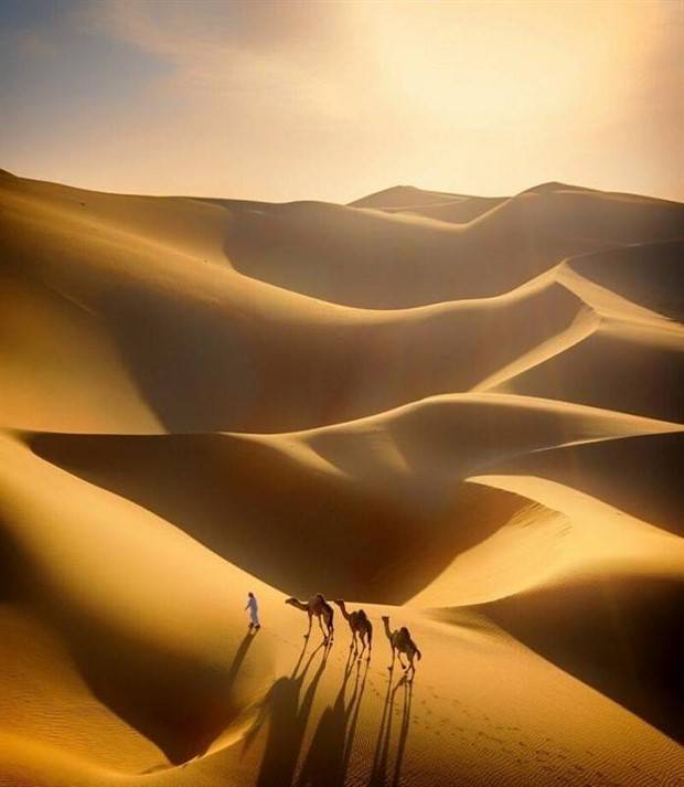 Klyker Picdump #1370 (55 photos)