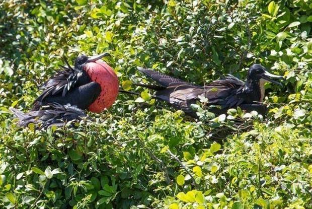 Klyker Picdump #1370 (55 photos)