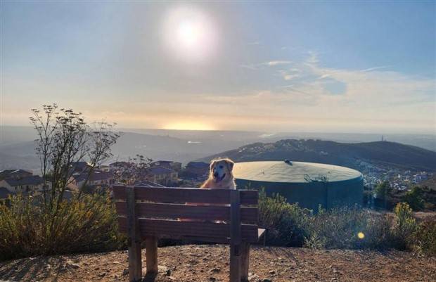 Klyker Picdump #1370 (55 photos)