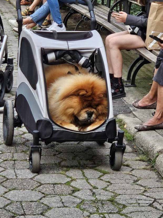 Klyker Picdump #1370 (55 photos)