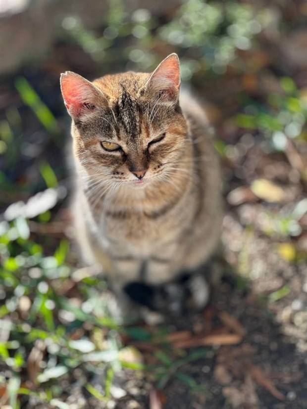 Klyker Picdump #1370 (55 photos)