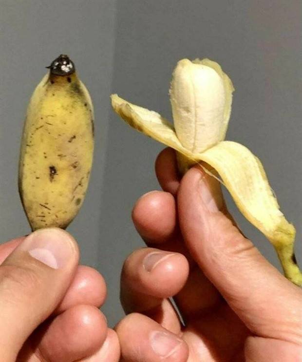 Klyker Picdump #1370 (55 photos)