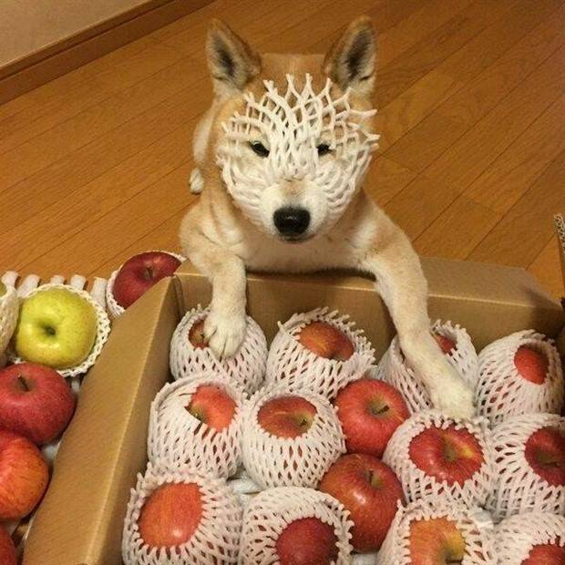 Klyker Picdump #1370 (55 photos)