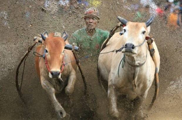 Klyker Picdump #1371 (51 photos)