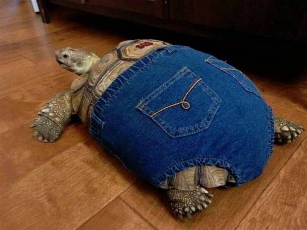 Klyker Picdump #1371 (51 photos)