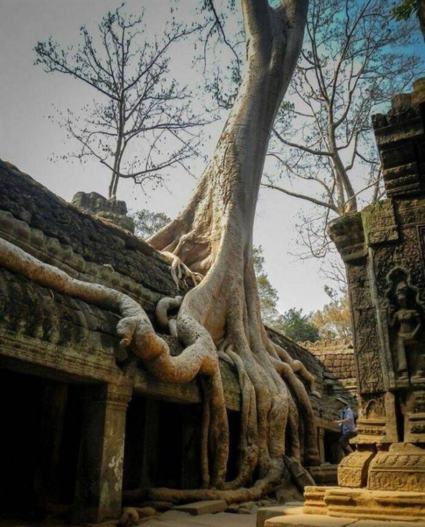 Klyker Picdump #1371 (51 photos)