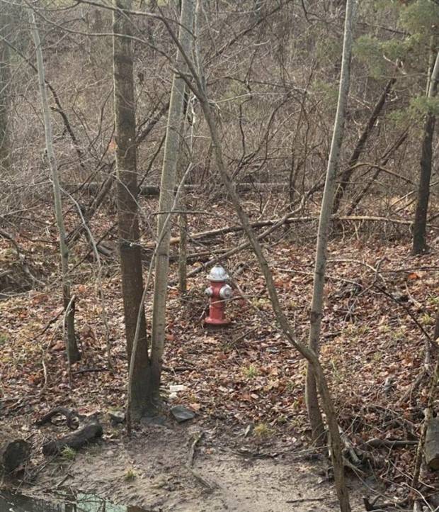 Klyker Picdump #1371 (51 photos)