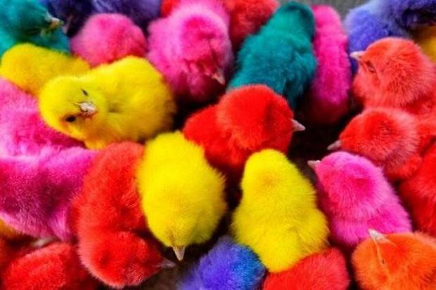 Klyker Picdump #1371 (51 photos)