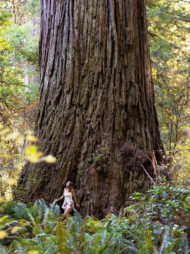 Klyker Picdump #1372 (52 photos)