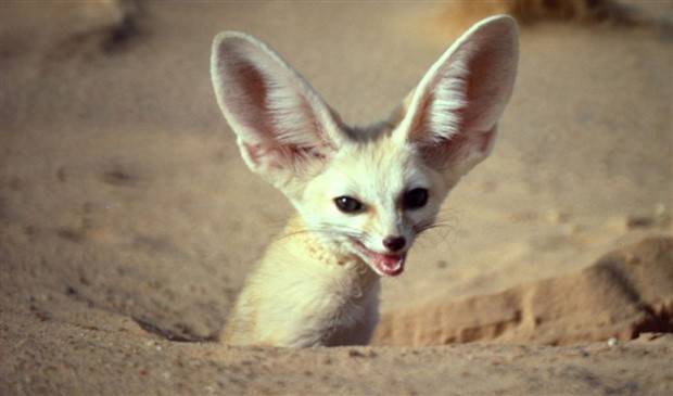 Klyker Picdump #1372 (52 photos)